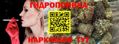 не бодяженный Кингисепп